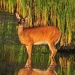 Thumbnail Deer in Wetlands 091012.jpg 
